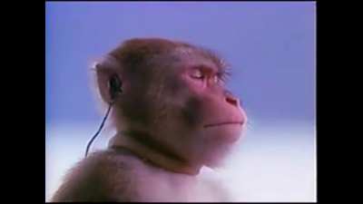 sad monke