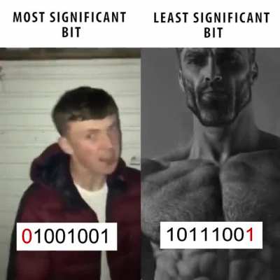 Binary Gang