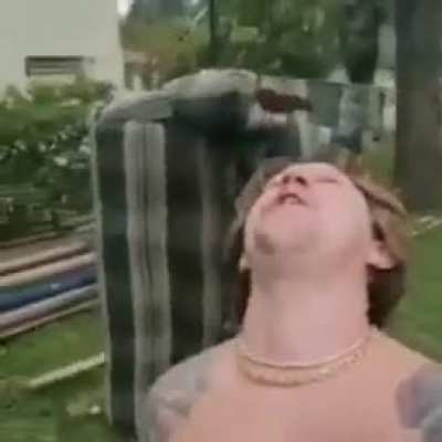 🐈
