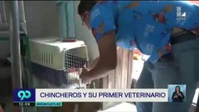 Pero...