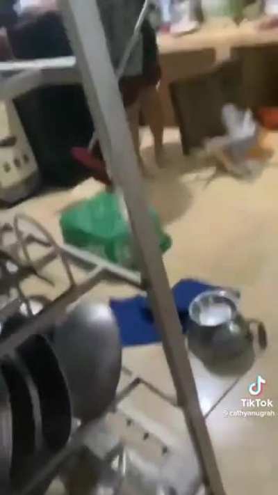 nice catch
