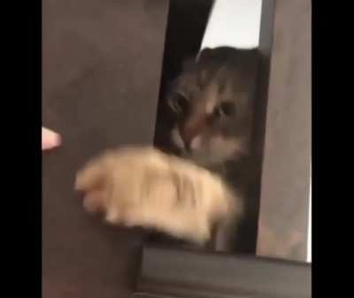 He had it coming...