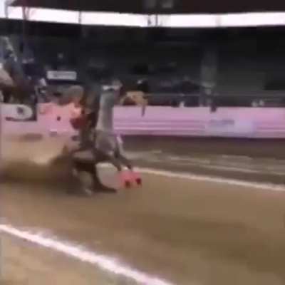 Brake. Brake. Braaaaaaaaaa ... Ok