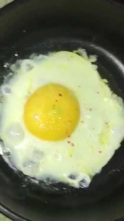 Don’t mess with the egg.
