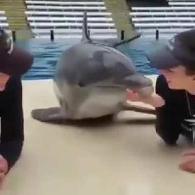 Полюб<wbr>ому мужик