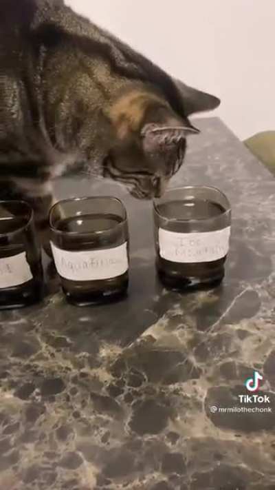 Bottled water taster