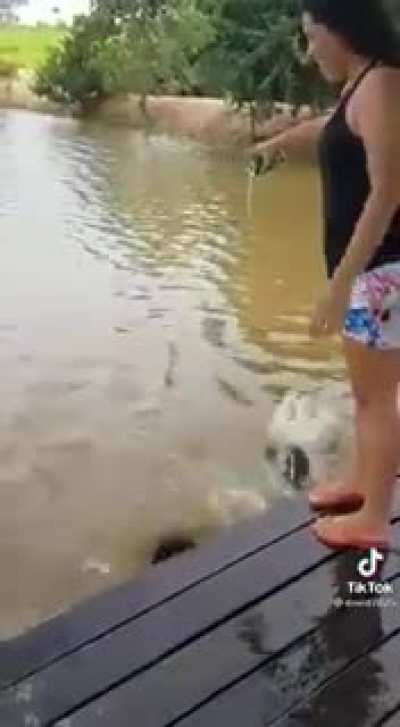 Those are some thick fish