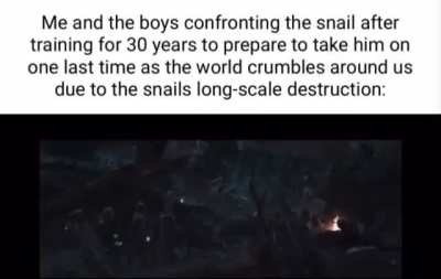 Endgame
