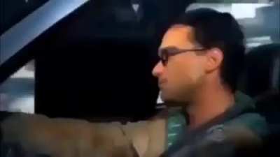 Sus crash!