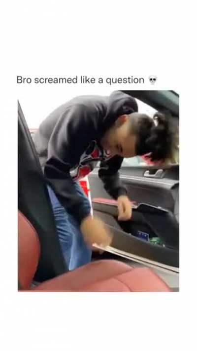 🐔