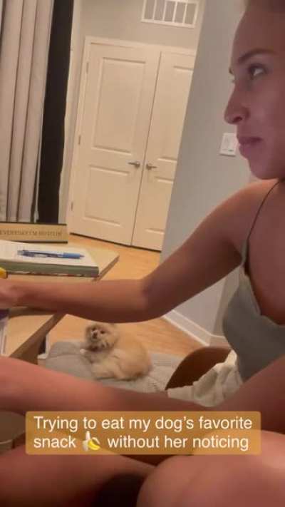 Every move you make, ever bite you take, I’ll be watching you!