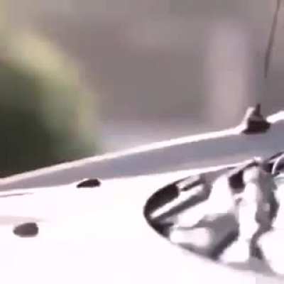 Drive dangerously