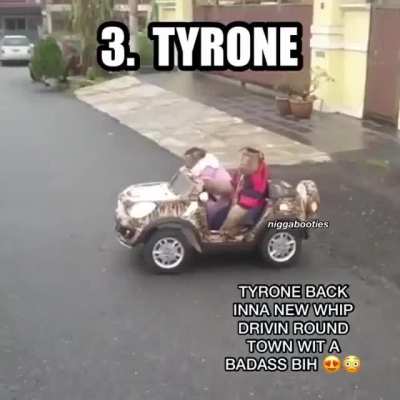 5 Wild Monkeys