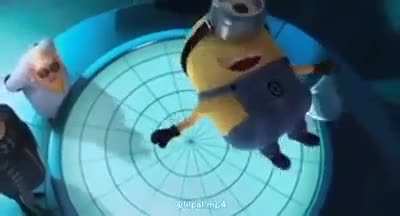gay