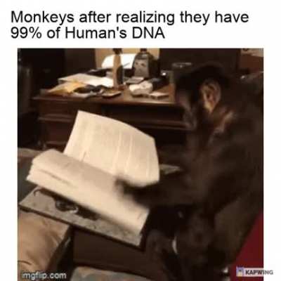 Evolution has begun