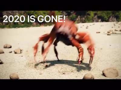 We did it boys
