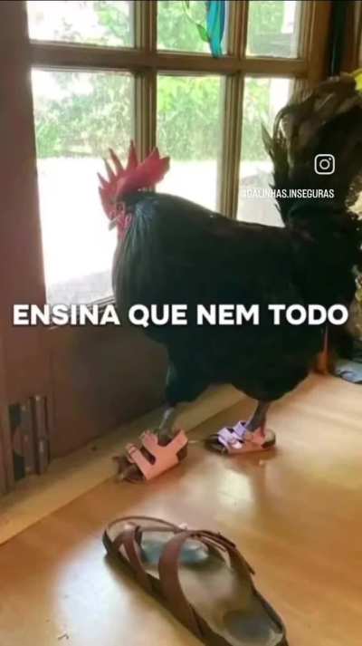 Eu_nvr