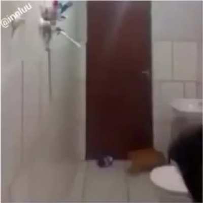 When you and your cat are afraid of the same mouse [Crosspost from r/WatchPeopleDieInside. OP: u/Chasith]