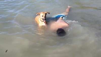 Rescue test failed