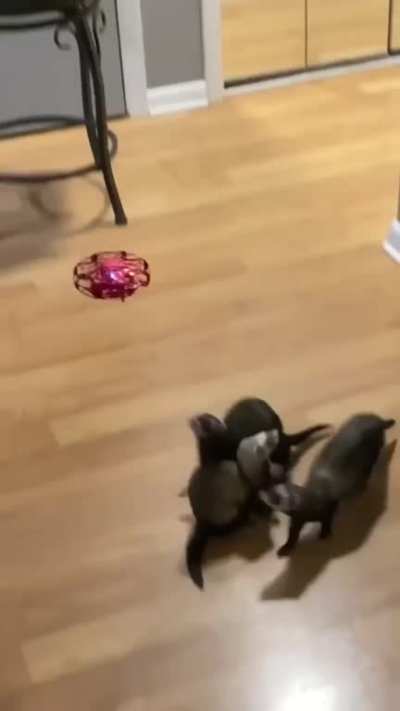 Follow the UFO