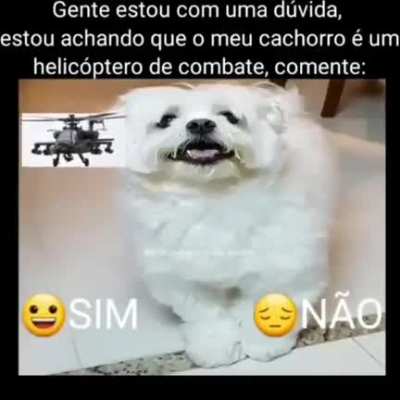 Duvida