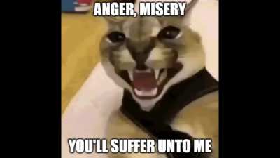 metalliflop