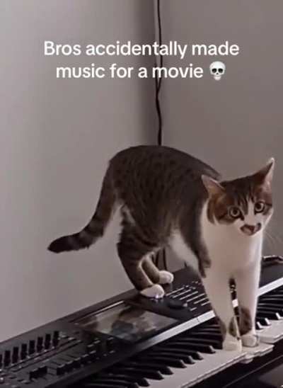 Composer Wunkus