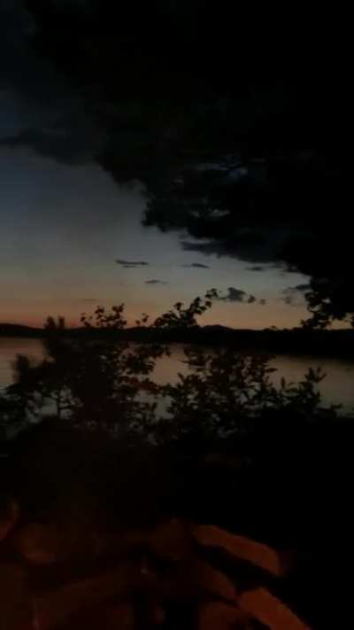 Loons at night