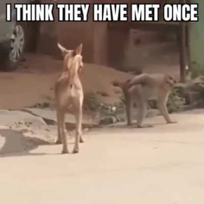 No, not this time!
