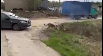 Let's get you out of that ditch!