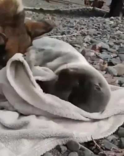 Unconditional