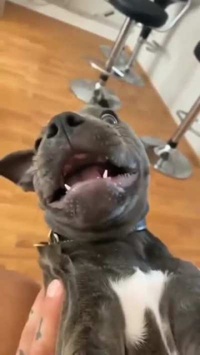 So adorable