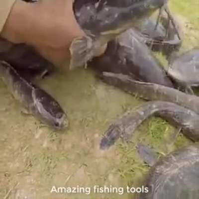 The hunter snake .