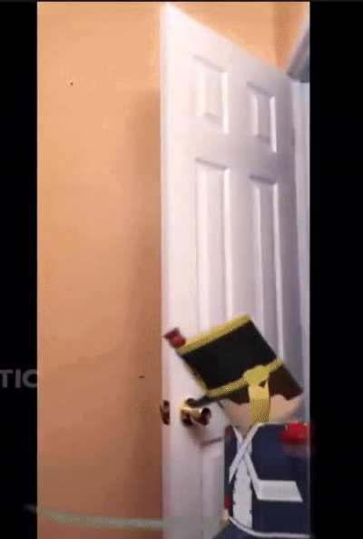 Viva la France