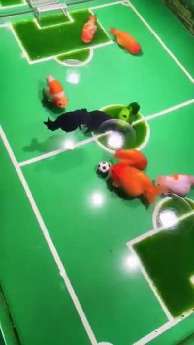 this kind of football i like more
