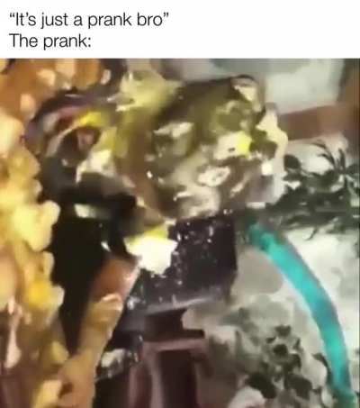 “Its just a prank bro”