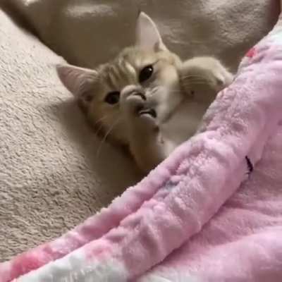 Cutest and tucked girl