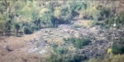 Ukrainian artillery strike on Russian infantry, Pokrovsky direction