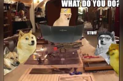 I was sent this on discord, and thought it'd fit perfectly here.