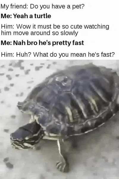 Fastest boi in the west