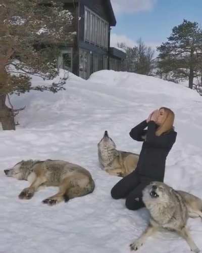 С волками жить.<wbr>...бу<wbr>кваль<wbr>но