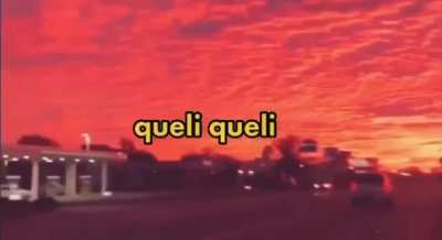 goldi retrive