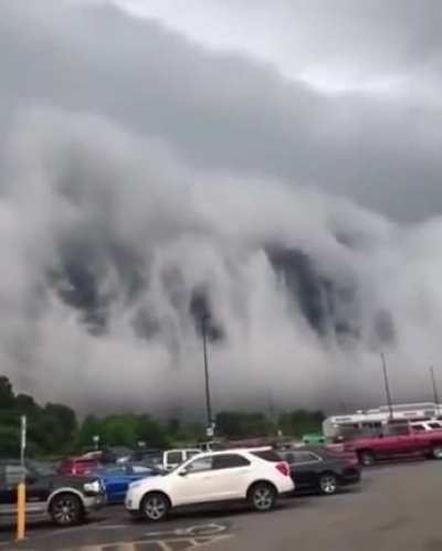 The Mist