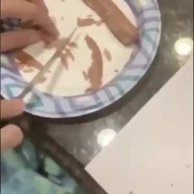 Modern technology gone too far?