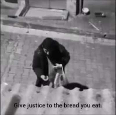 Turkish guy debates Marxism and Freud with a street pupper