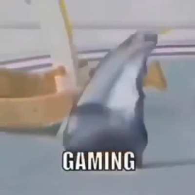 ep i c
