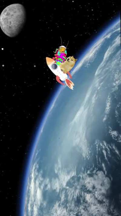 rgbroachspace