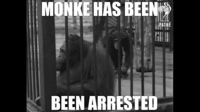 monke got caught :(
