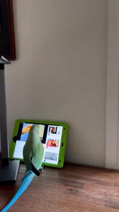 And it decided what it wants to watch.