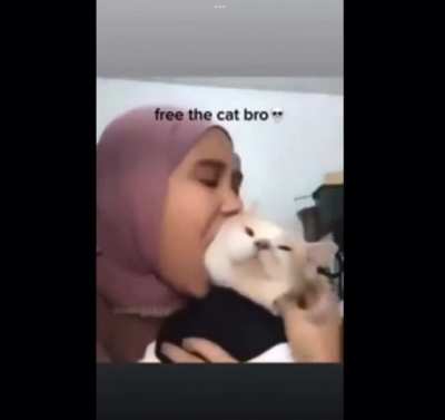 😿